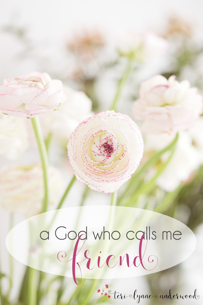 Holy Week Meditations:  A God Who Calls Me Friend