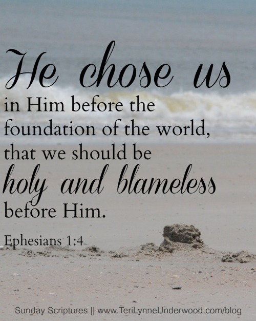 {Sunday Scripture} Ephesians 1:4