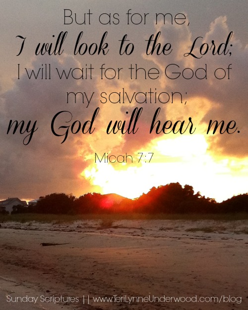 {Sunday Scripture} Micah 7:7