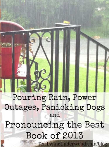 Pouring Rain, Power Outages, Panicking Dogs, & Proclaiming the Best Book of 2013