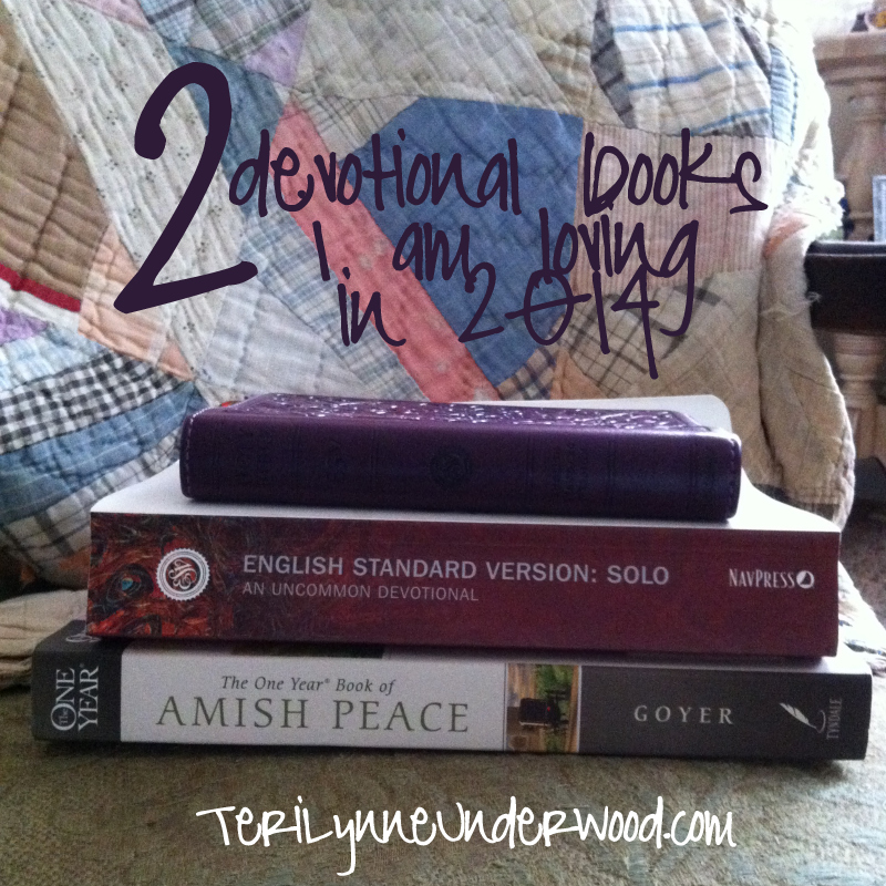 2 Devotional Books I Am Loving in 2014