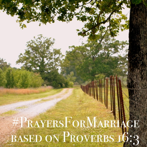 31 Verses to Pray for Your Marriage {Proverbs 16:3}