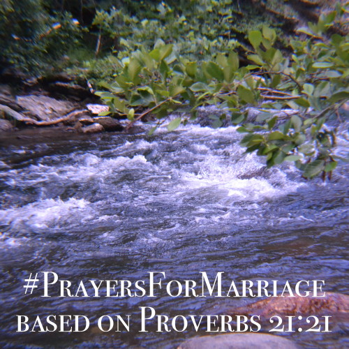 31 Verses to Pray for Your Marriage {Proverbs 21:21}