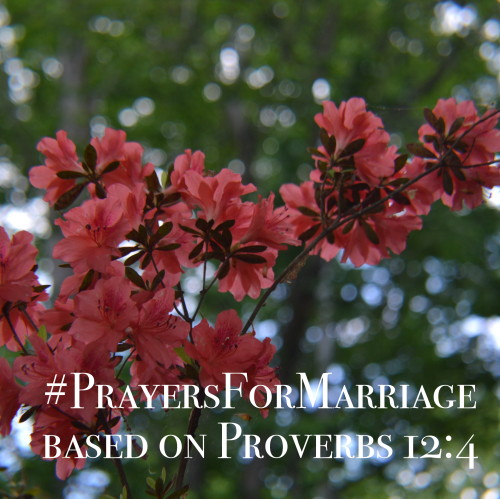 31 Verses to Pray for Your Marriage {Proverbs 12:4}