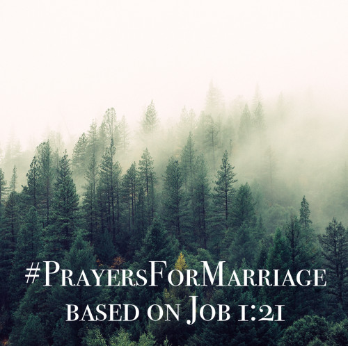 31 Verses to Pray for Your Marriage {Job 1:21}