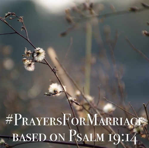 31 Verses to Pray for Your Marriage {Psalm 19:14}