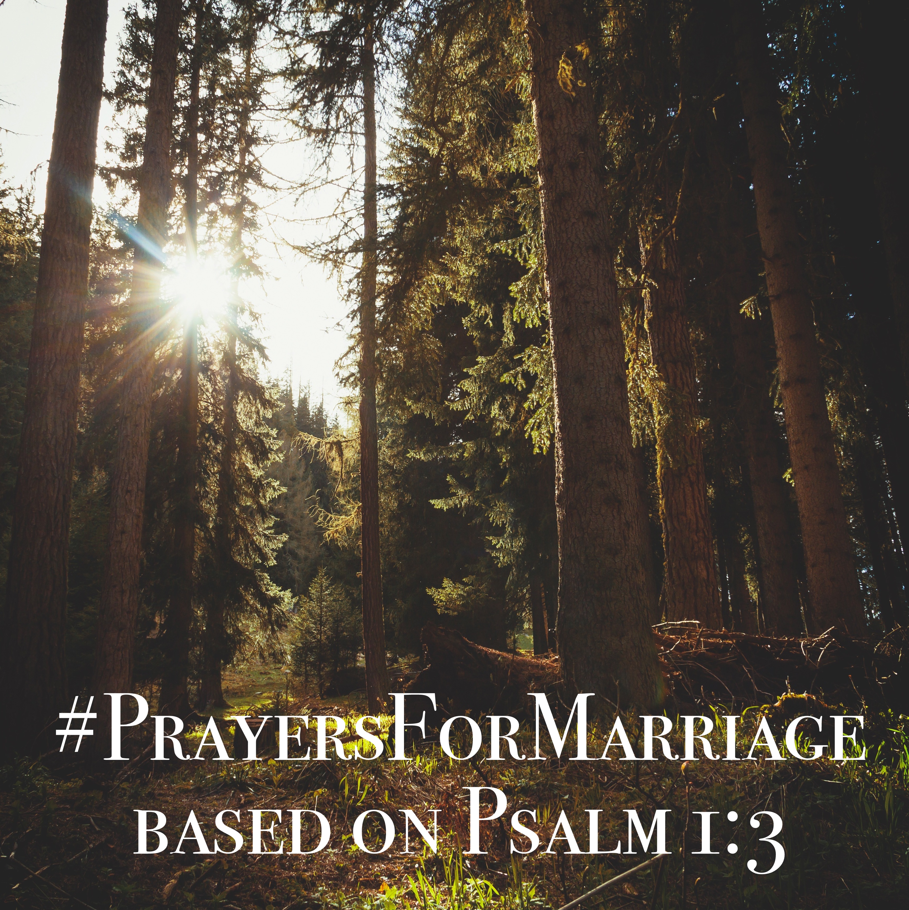 31 Verses to Pray for Your Marriage {Psalm 1:3}