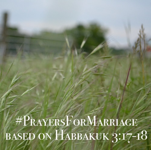 31 Verses to Pray for Your Marriage {Habbakuk 3:17-18}