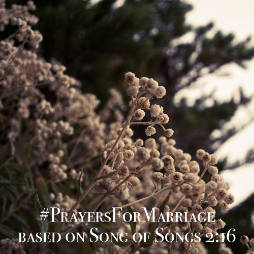 31 Verses to Pray for Your Marriage {Song of Songs 2:16}