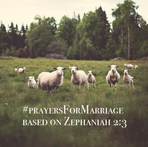 31 Verses to Pray for Your Marriage {Zephaniah 2:3}