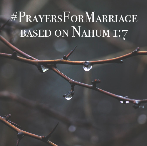 31 Verses to Pray for Your Marriage {Nahum 1:7}