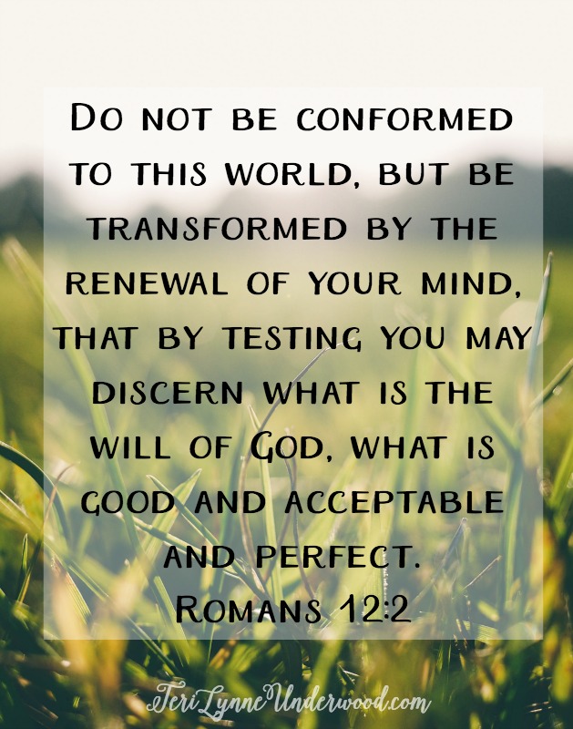 Sunday Meditations || Romans 12:2