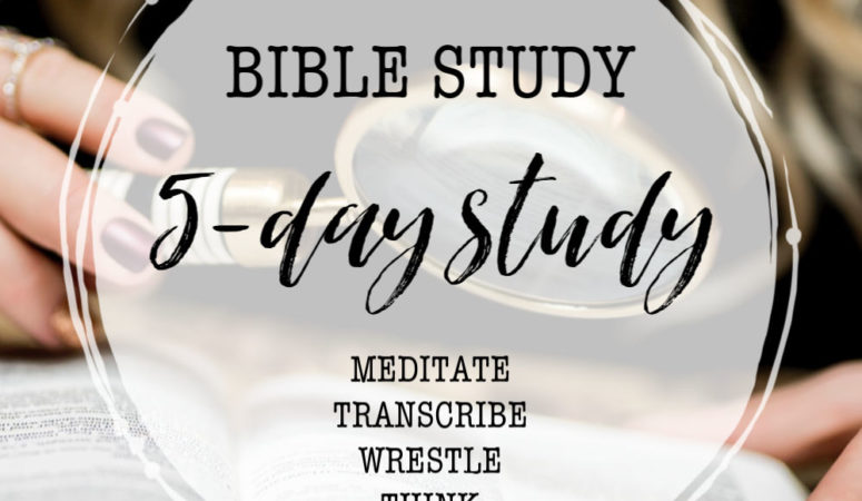 Bible Study: 5-Day Study Method